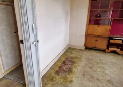 Salon avec moquette usée avant travaux Avenue de Verdun à Vanves